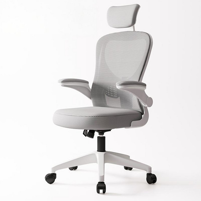 HOMEY NEST 자세교정 편한 공부 책상의자 사무용의자 허리 조절 가능 허리보호 의자 HN-OC018, 화이트