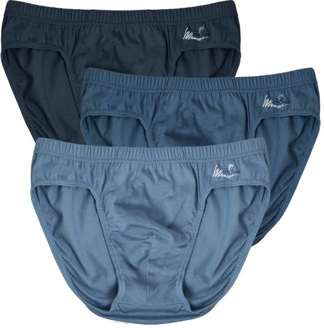 BYC 5018 주니어 순면 벤터스 브리프 삼각팬티 3종