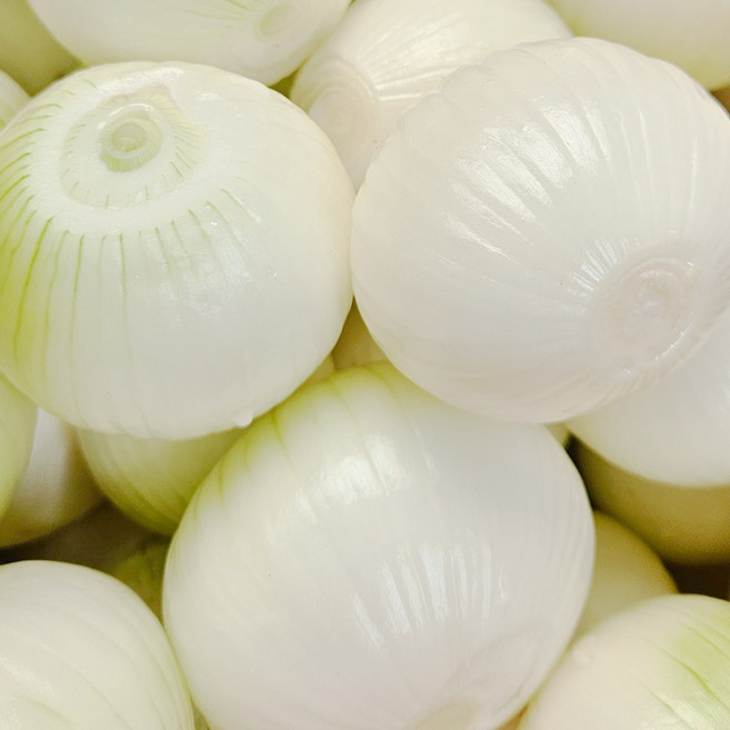 국내산 조생종 햇양파 깐양파 아삭아삭 달달한 양파 소량 진공포장 업소용 가정용, 진공포장(2입_280g내외), 1개