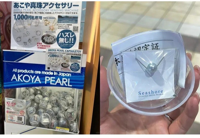 日本製 宇和島 Akoya pearl 珍珠扭蛋 飾品