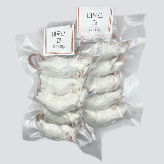 냉동마우스 10마리 세트 [대] 23~29g (진공포장)<쥐선생>, 26g, 10개