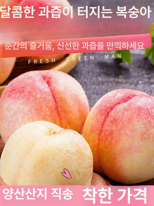 과일 포장망 과일캡 충격방지 3근, 프리미엄 단일과일 4.5-5온스 중과일, 1개, 9개