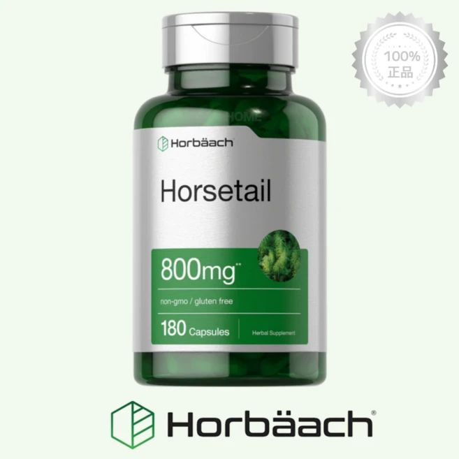 호바흐 고함량 말꼬리 풀 쇠뜨기 800mg 180캡슐 호스테일 실리카 보충제, 1개, 기본, 180정 - 쿠팡