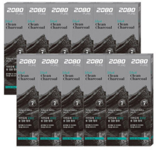 2080 퓨어 블랙치약 차콜 민트향 125g, 12개