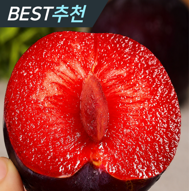 3위 - [작년판매1위] 일30박스한정판매 초고당도 체리자두, 1박스, 1kg