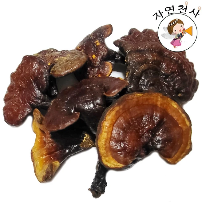 야생 직접채취 자연산 영지버섯300g 깨끗한 손질 스팀처리 품질 좋은 영지버섯 (작두작업 필요시 요망), 300g, 1개 - 쿠팡