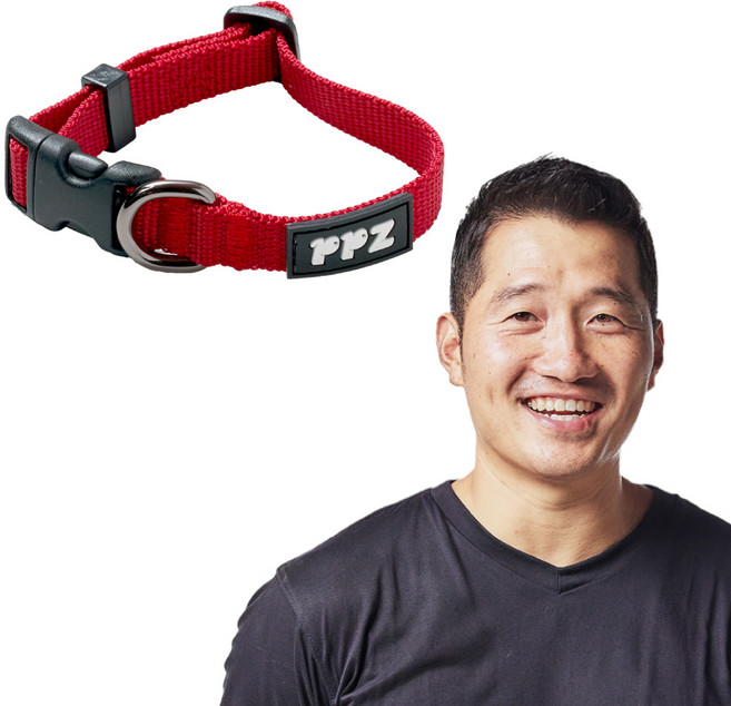 강형욱 추천 퍼피즈 어드벤처 목줄 강아지 목줄 산책줄, 베리, 1개