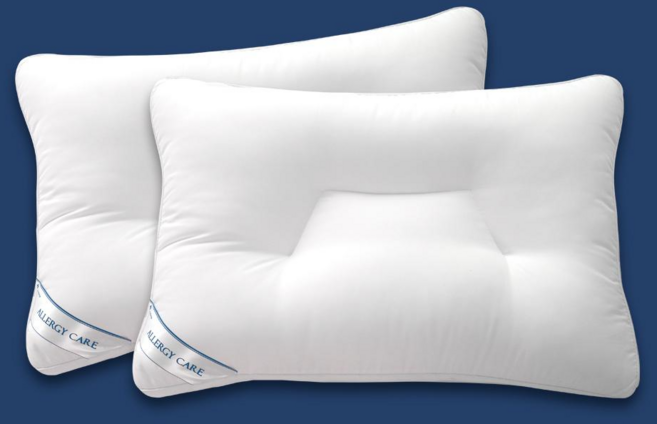 까사소뇨 알러프레쉬 마이크로화이바 항균 진드기방지 호텔 베개솜, 2개, 화이트