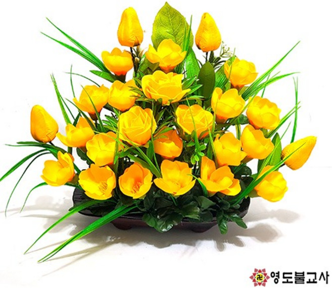 소목련(노랑)동자꽃 법당꽃, 1개