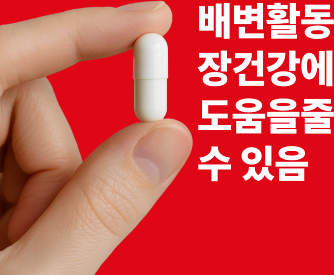 캐나다 제약회사 완장제 프로바이오틱스 100억 유산균, 1개, 60정