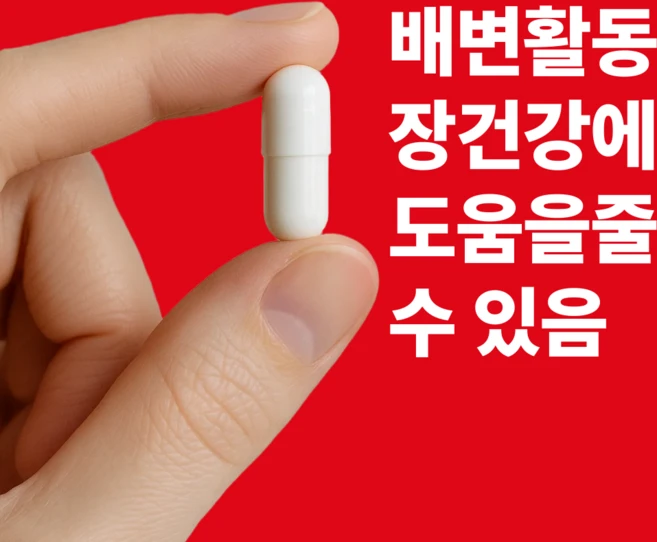 캐나다 제약회사 완장제 프로바이오틱스 100억 유산균, 1개, 60정 - 쿠팡