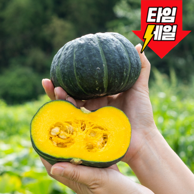 [전국최저특가]꿀빛단박 미니 단호박 밤호박, 1개, 1kg (정품)