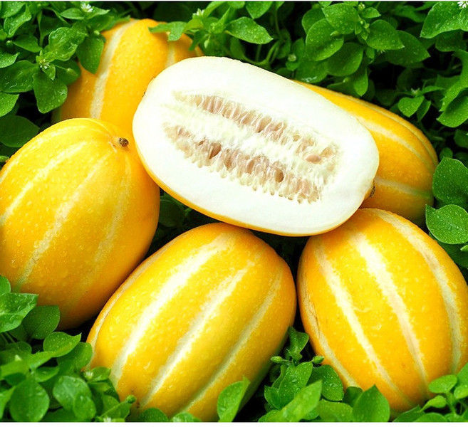 [엄지척농산물] 못난이 햇 성주 꿀 참외 랜덤혼합과, 1개, 2kg 혼합과(3-14과)