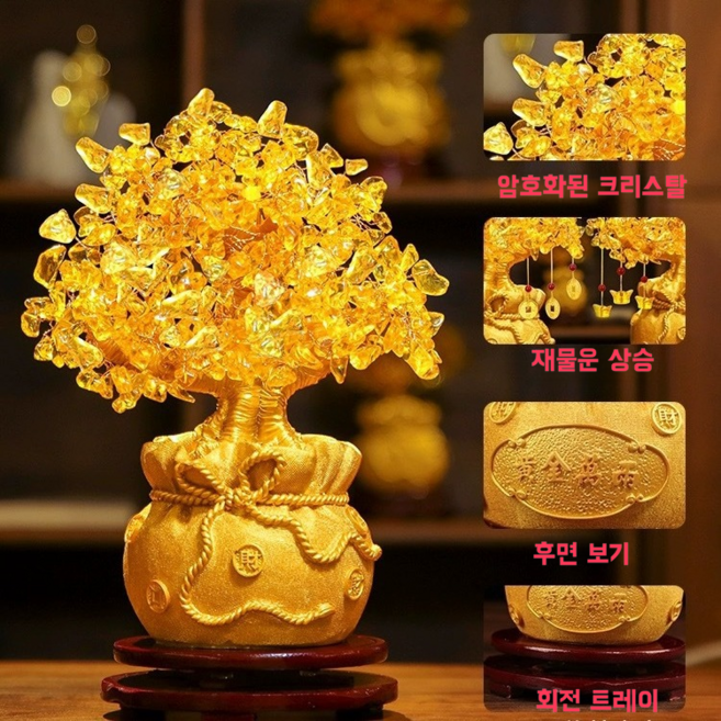 돈을 불러오는 황금돈나무 금전수 재물나무 최고의 오브제 개업 선물 집들이 선물[트레이 포함]