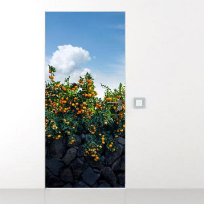 아트박스/꾸밈 gb805-제주감귤과돌담_현관문시트지