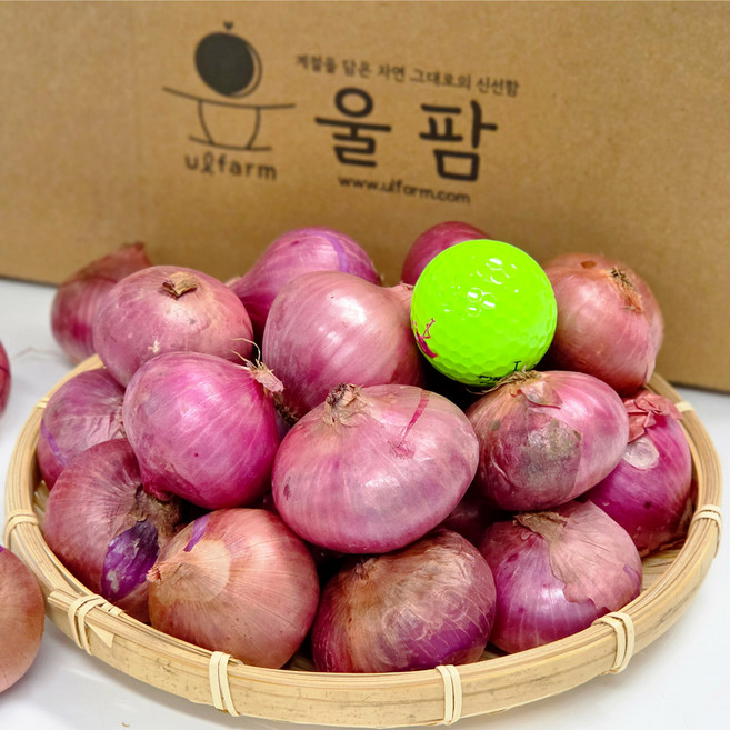 울팜 수입 샬롯 미니양파, 1개, 샬롯 5kg