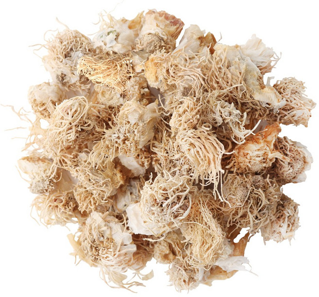 동의한재 국산 파뿌리 대파뿌리 총백, 3kg, 1개