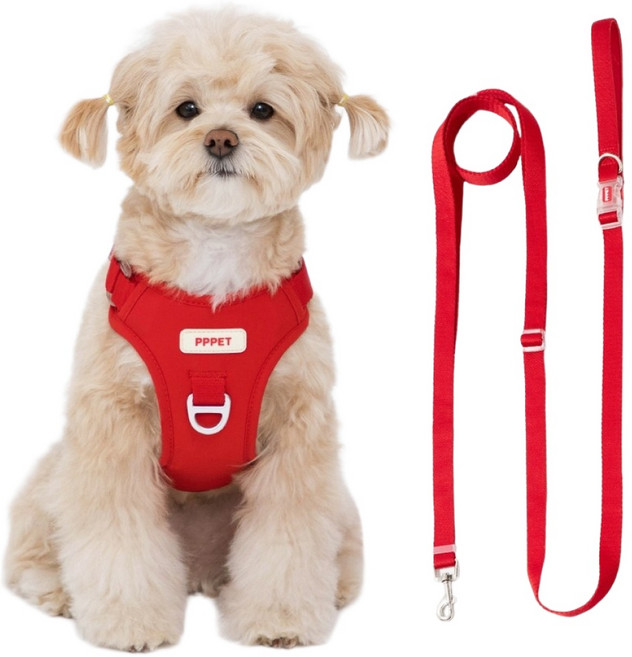 펫펫펫 강아지 하네스 + 리드줄 세트, 레드, 1개