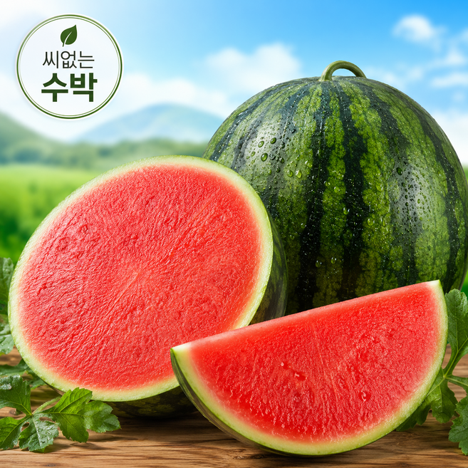 오늘한입 씨없는수박 고당도 프리미엄 국내산 산지직송 당도보장 여름수박, 1개, 시틀리스수박 6~7kg 내외