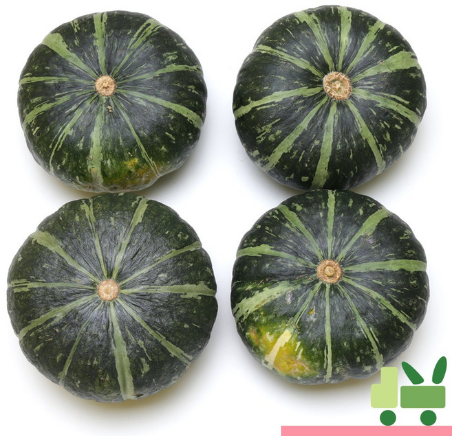 사라상회 뉴질랜드 단호박 5Kg (3수), 1개