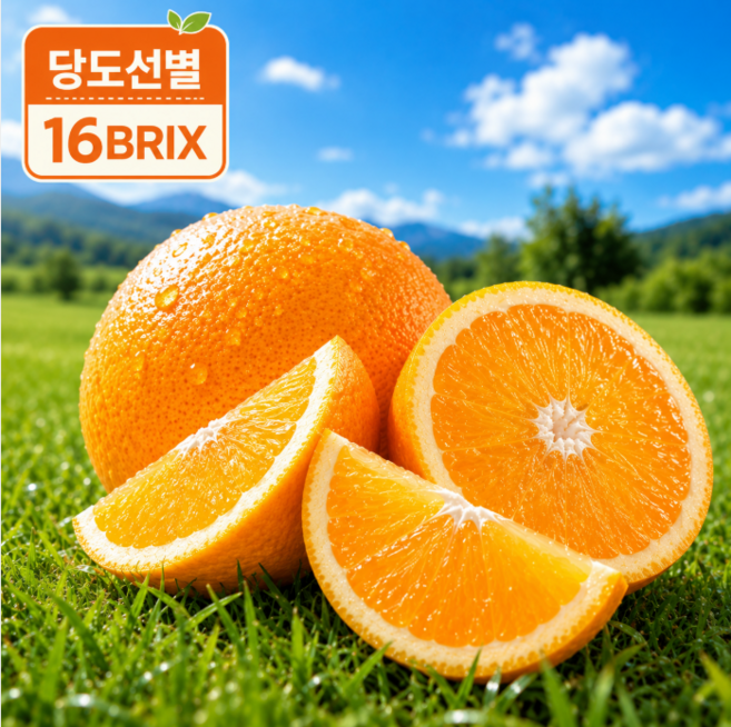 [1주만 특가] 과즙터지는 꿀당도 하우스 감귤, 1박스, 2kg