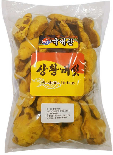 국내산 상황버섯 분말 100% 국산 장수 상황 버섯 베타글루칸 에너지 물 진액 차 가루 선물세트 실속형 대용량 원물, 500g, 1개, 원물 500g
