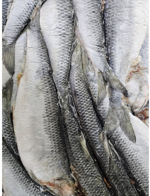 A급 청어 6.5kg 13kg 도매생선, 1박스