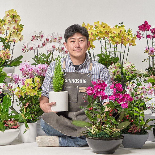 제주 서귀포 축하화환 근조화환 금전수 개업화분 전국당일꽃배달 축하 선물 결혼식 장례식장, 소형-관엽식물, 02. 스투키