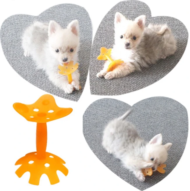 애완견 치발장난감 / 유치보호장난감 / 100%국내생산, 1개, 오렌지 - 쿠팡