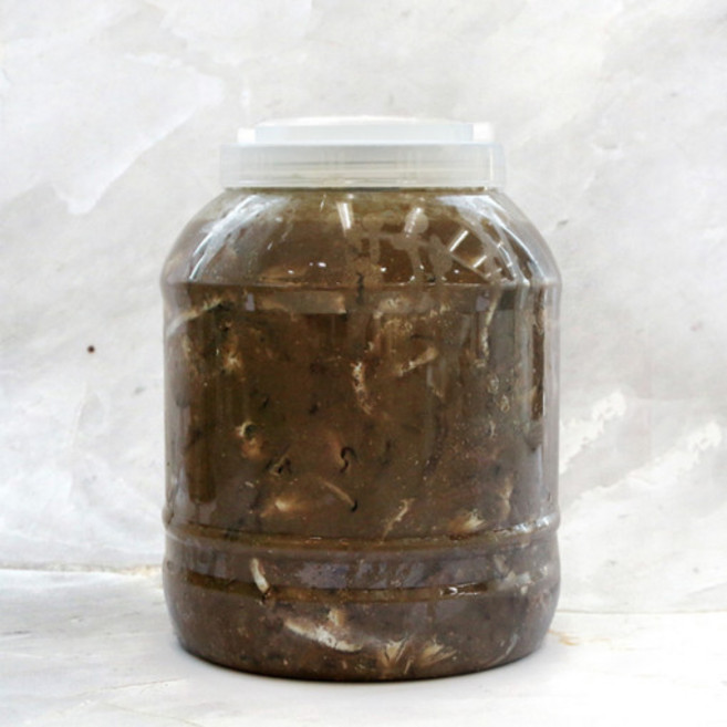 국내산 청정 멸치젓 김장젓갈 김장철 맛있는 젓갈, 5kg, 1개
