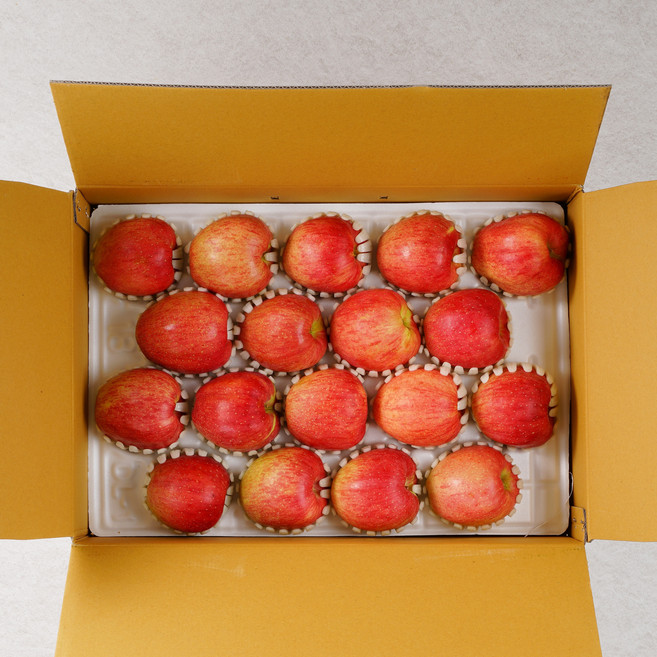 [복순이네] 경북 부사 꿀사과 (정품) 선물용 사과, 1박스, 5kg 소과 (정품)