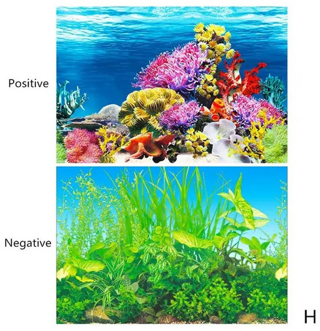 입체배경시트지 포스터 해저 수중 수족관 장식용 스티커 어항 양면 HD 벽, 30x50cm, 배경 H