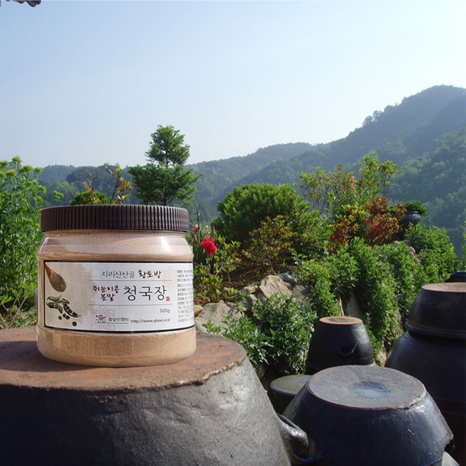 지리산산골 검은콩 국산 쥐눈이콩 청국장가루 효모가 살아있는 식사대용 냄새없는 전통방식 청국장 분말 자연발효 검은콩 청국장 분말, 500g, 1개