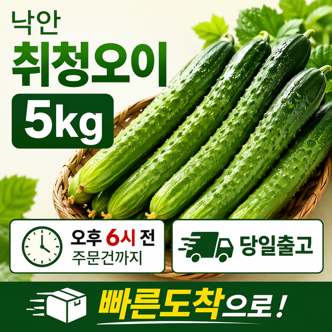 순천낙안취청오이5kg 특 5kg 1개