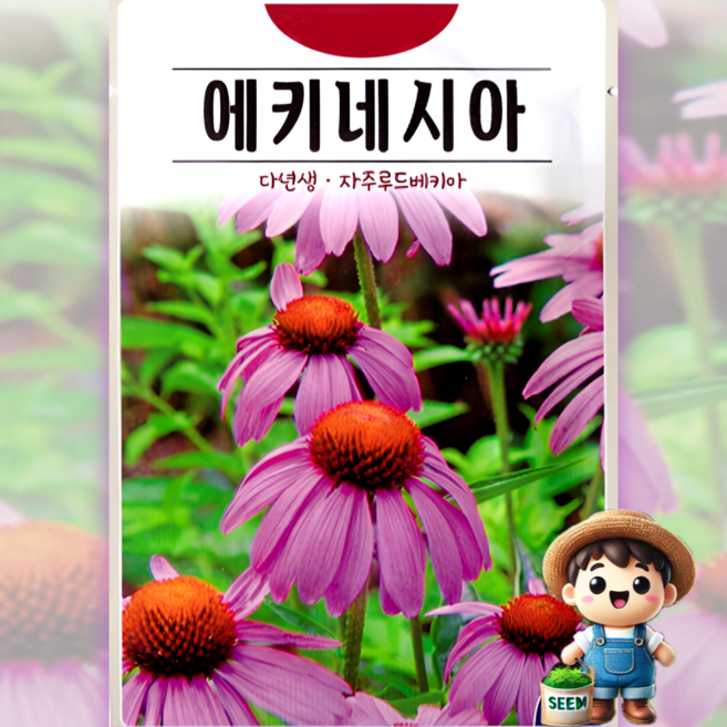 KS종묘 에키네시아 100립 자주루드베키아 다년생 꽃씨 씨앗 종자, 1개