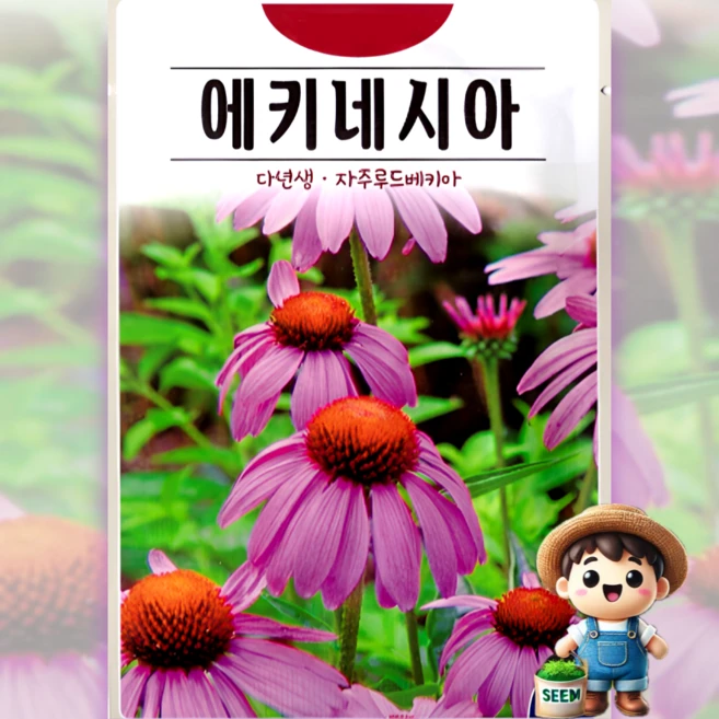 KS종묘 에키네시아 100립 자주루드베키아 다년생 꽃씨 씨앗 종자, 1개 - 쿠팡