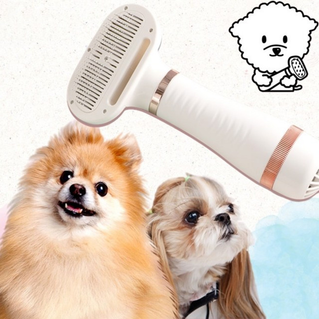 (홈쇼핑) 댕댕살롱 페페 드라이어 애견 고양이 펫 드라이기, 1개