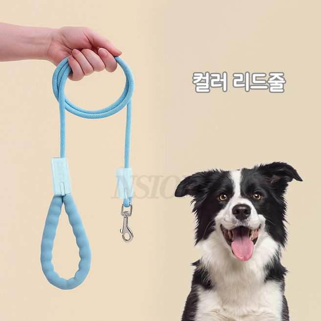 NSION 반려동물 산책용 나일론 컬러 로프 리드줄 2m, 1개, 블루