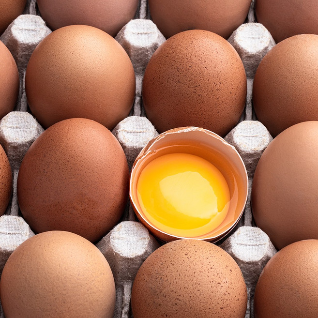 알참참 탱글탱글 난각번호 2번란 유정란, 1개, 60구