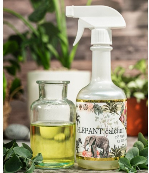 분무기 증정! 500ml 대용량! 식물 칼슘결핍용! 식물 고농축 칼슘제 한국최저가 칼슘 17프로!, 1개