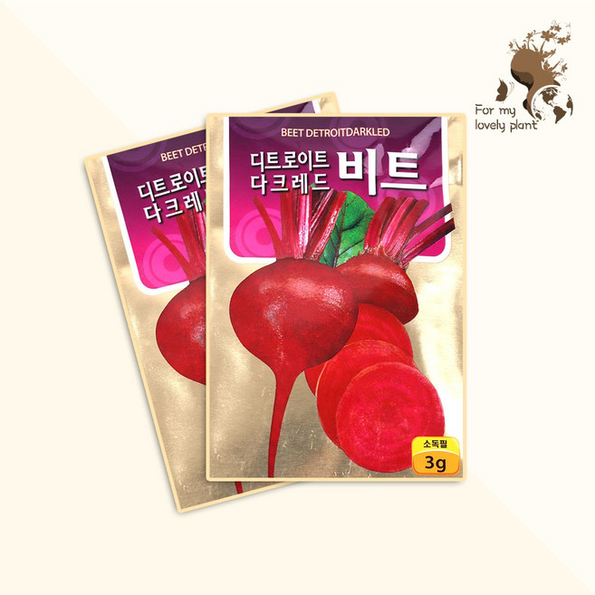 디트로이드 다크레드 비트 3g 뿌리채소류 씨앗, 1개