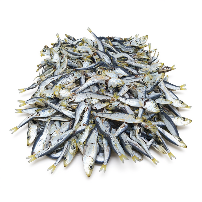 솔치다시 육수용 청어 다시멸치 정어리 남해통영 국물용 1.5kg, 1개