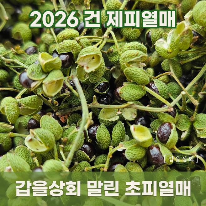[갑을상회] 26년 국산 건 제피 열매 말린 토종 초피열매, 1개, 200g