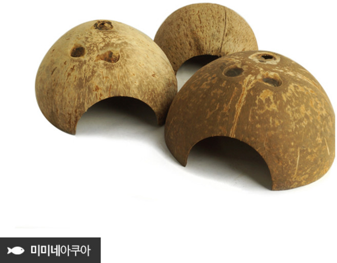 미미네아쿠아 천연 코코넛 은신처 소 (10cm 내외) - 물고기 파충류 소동물, 1개