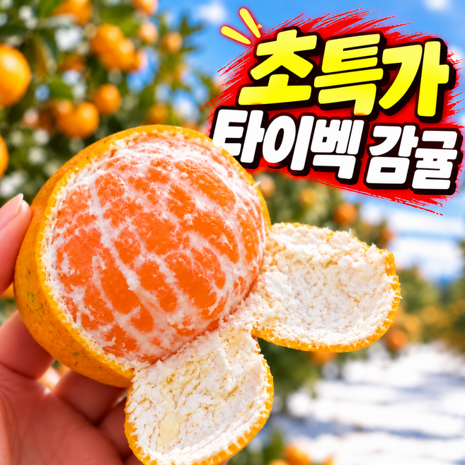 [초특가] 고당도 귤 제주 타이벡 감귤, 1박스, 10kg