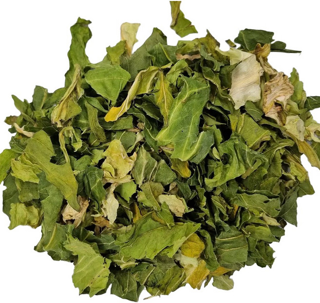 엄선한 국내산 양배추(300g)