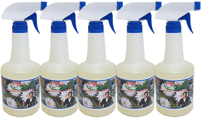 피비원(PB-1) 본체 680ml 다목적세정제, 5개