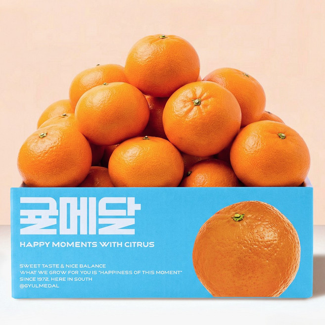 [15브릭스 산지직송] 제주 천혜향 당도선별 귤메달 천헤양 천헤향 천해양 천해향, 1박스, 중과 2kg