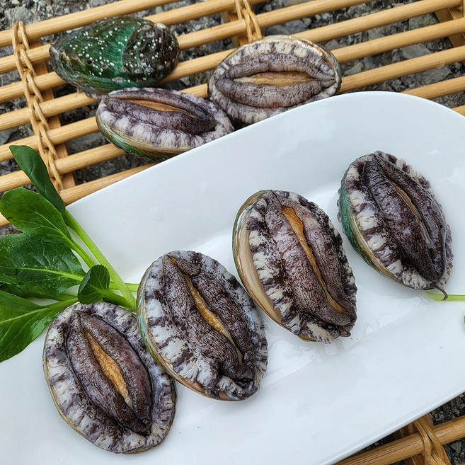 싱싱해 완도 활 전복, 1박스, 6호 (소)18-20미 1kg