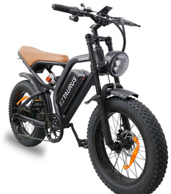 이지베이션 BS슬릭 전기자전거 850W 48V 힙한전기자전거 자토바이 팻바이크, 48V20ah 그레이(9/10출고), 그레이, 스틸